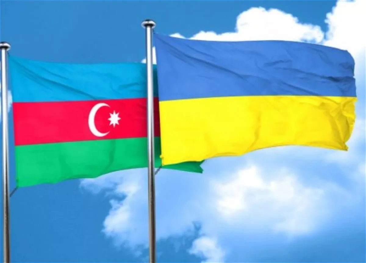 Ukraine, Azerbaijan hold online meeting on trade, investment ties
