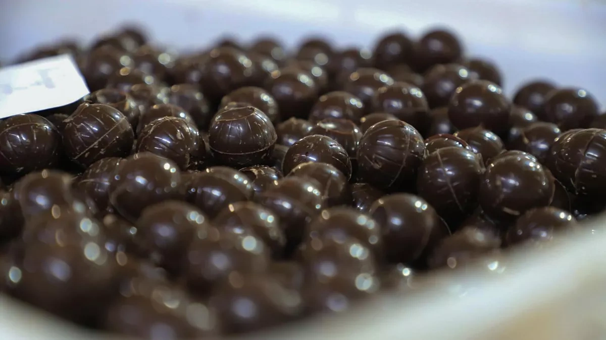 Armenia to launch region’s largest chocolate factory