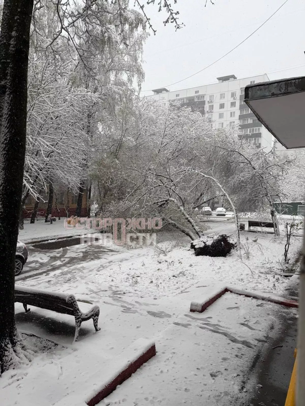 Moscow blanketed in snow amid sudden April weather shift PHOTO / VIDEO