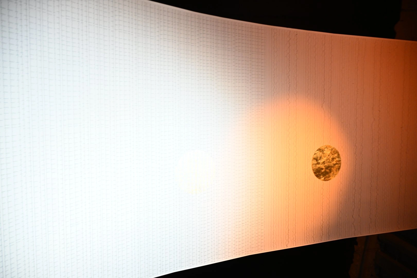 Azerbaijan presents “Attention” project at 61st Venice Biennale (PHOTO)