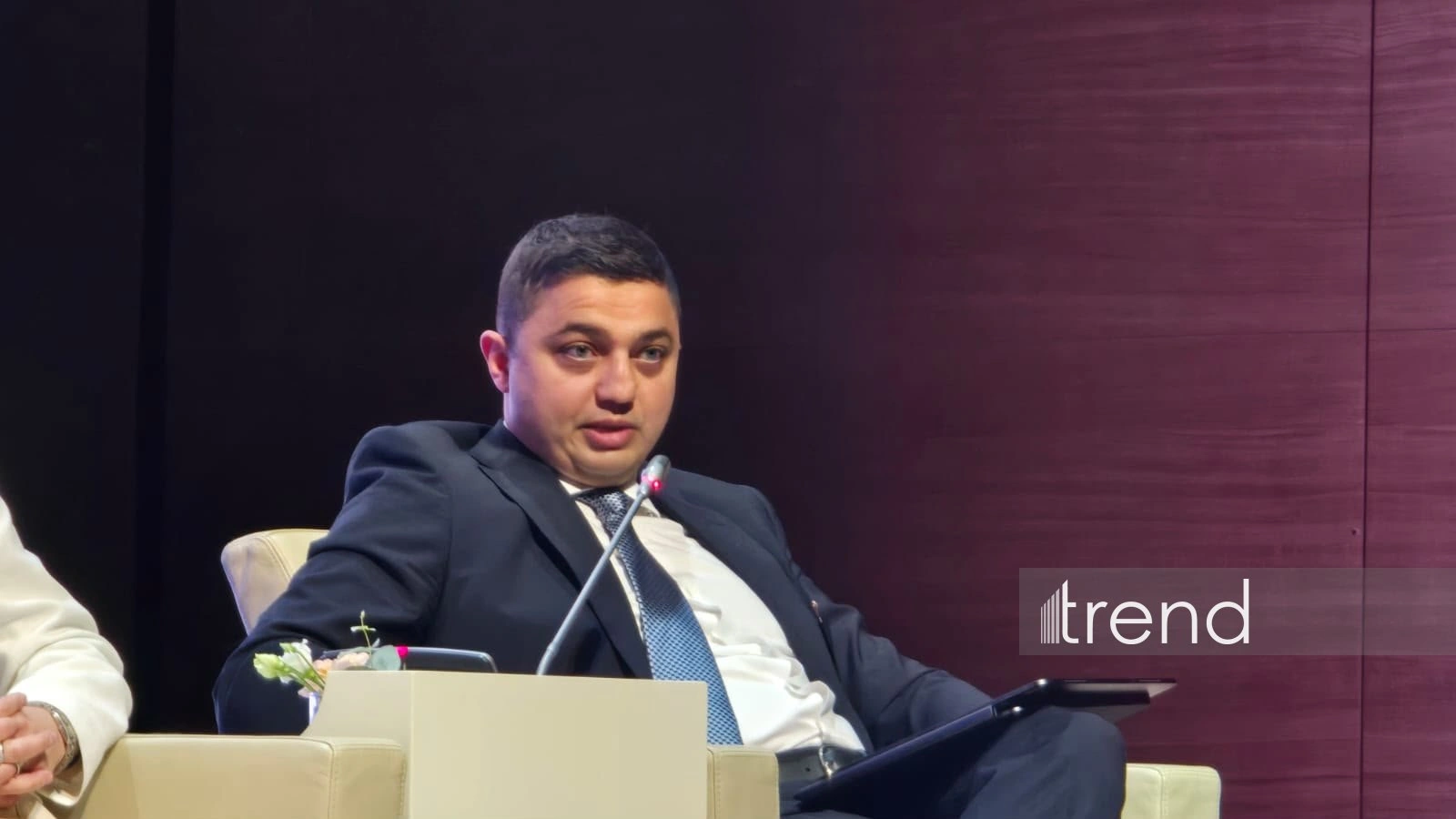 Deloitte's expert highlights path to making green electricity financeable asset