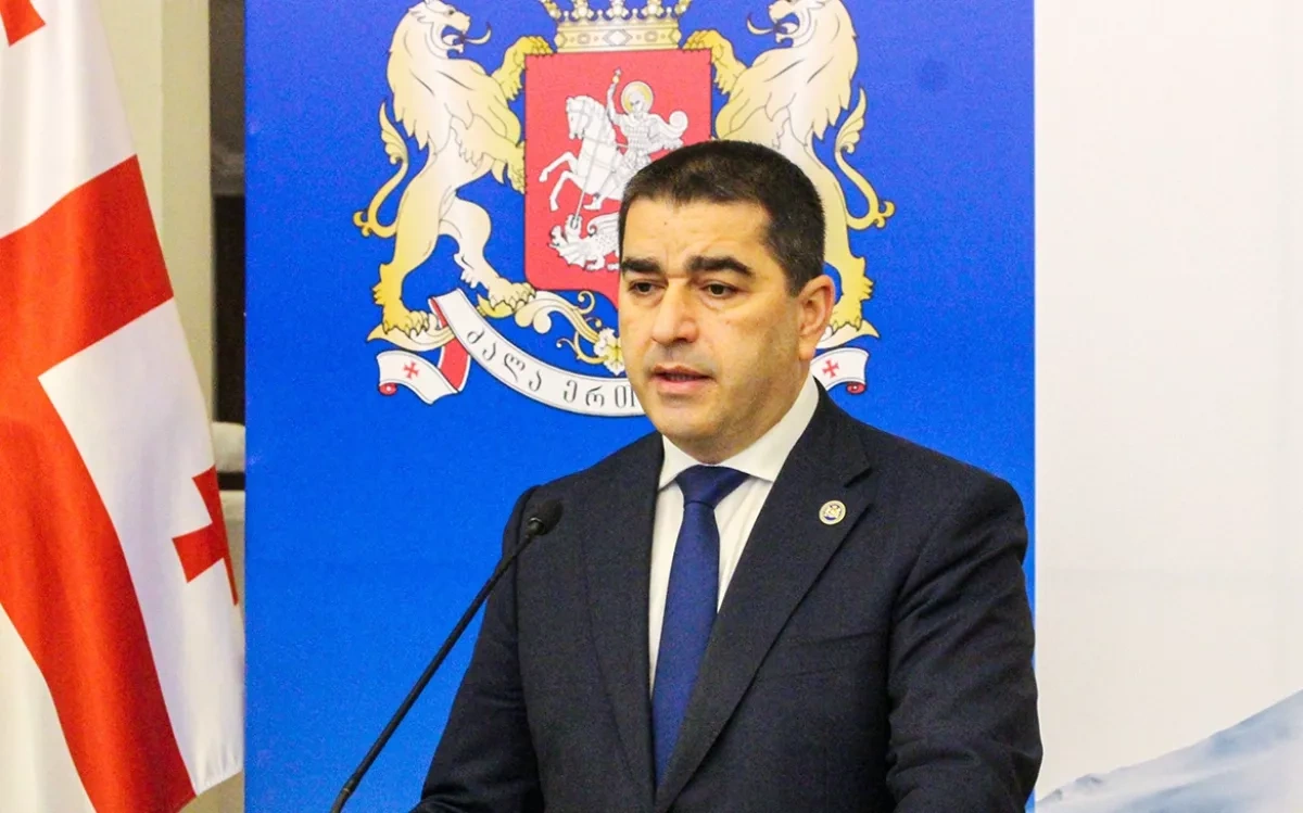 Georgian speaker: EU’s enlargement policy has lost credibility
