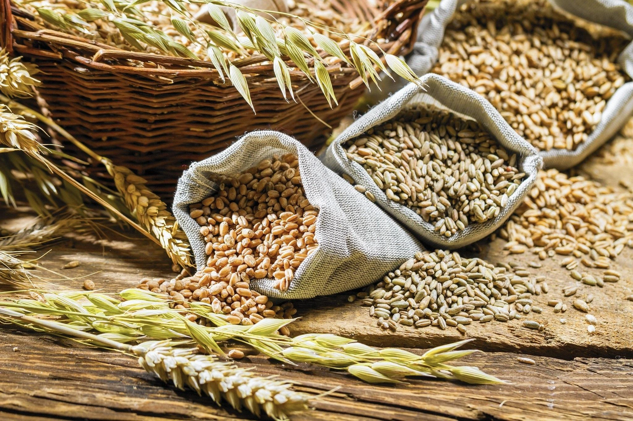 Russian wheat to be sent to Armenia via Azerbaijan transit