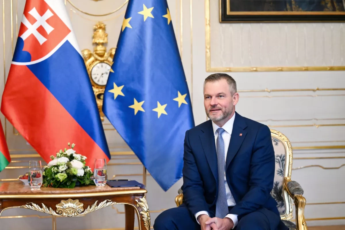 Azerbaijani, Slovak presidents meet one-on-one PHOTO