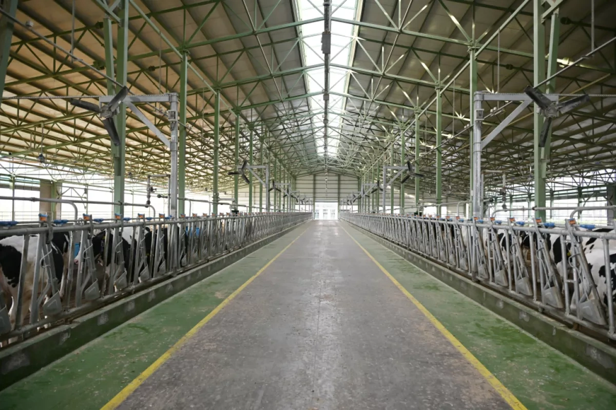 Azerbaijani president attends opening of “Shirvan Agro” livestock complex in Shamakhi PHOTO