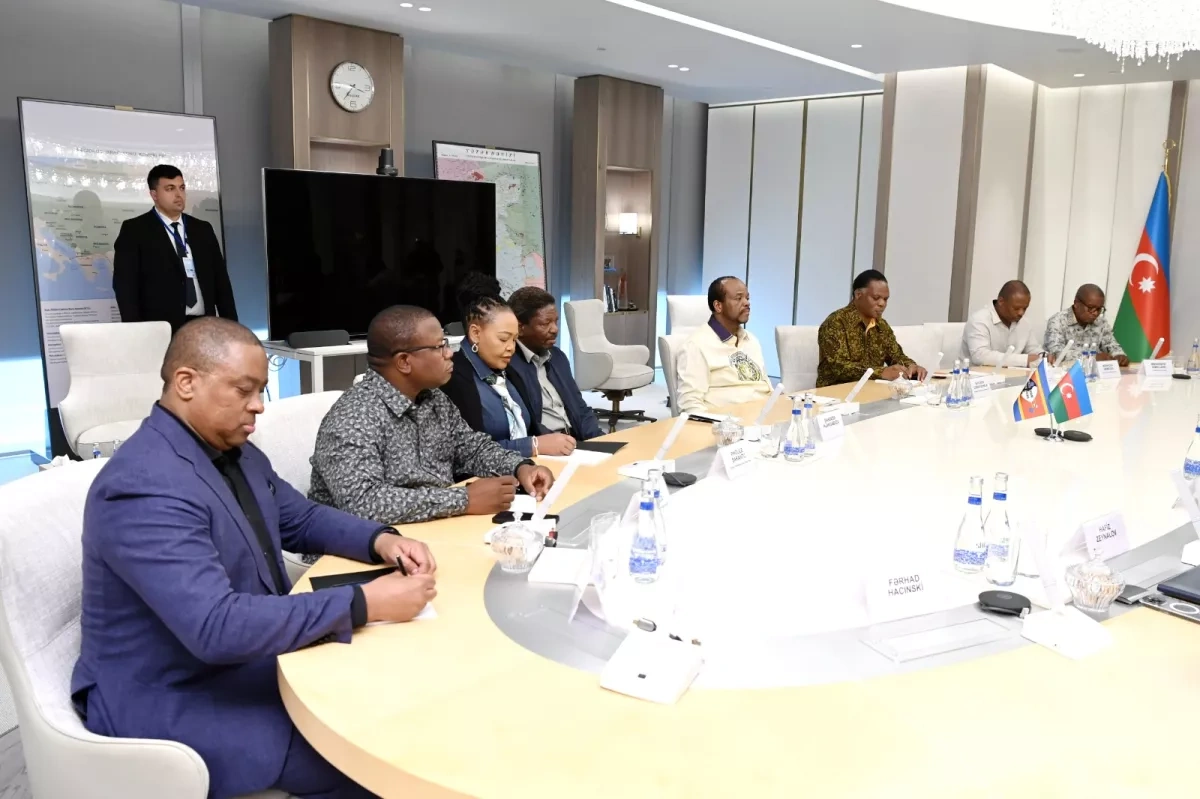 SOCAR, Eswatini hold talks on energy cooperation, investment opportunities PHOTO