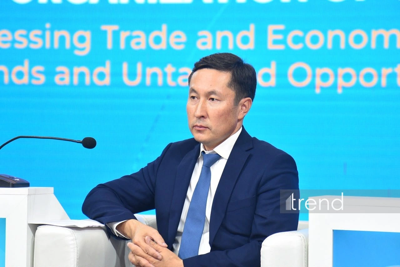OTS countries discuss development of trade and economic relations (PHOTO)