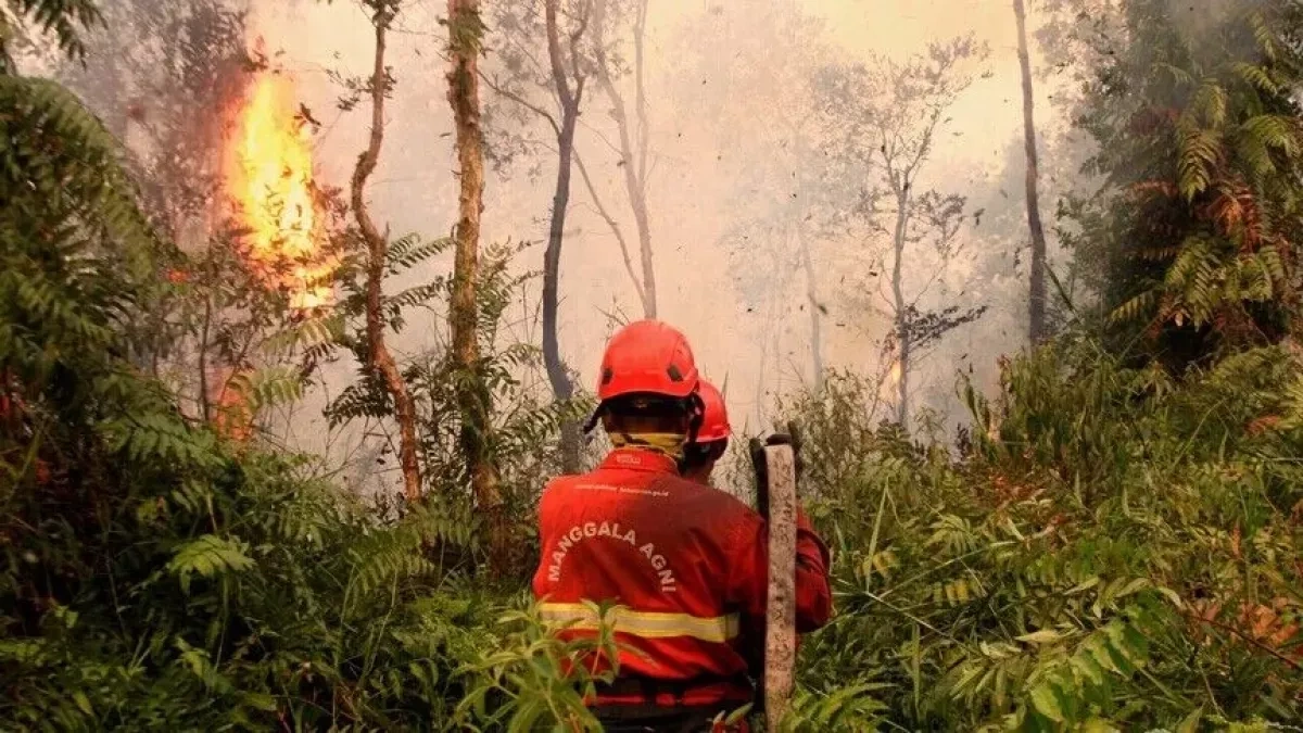 Indonesia records 175,000 respiratory cases as forest fires rage