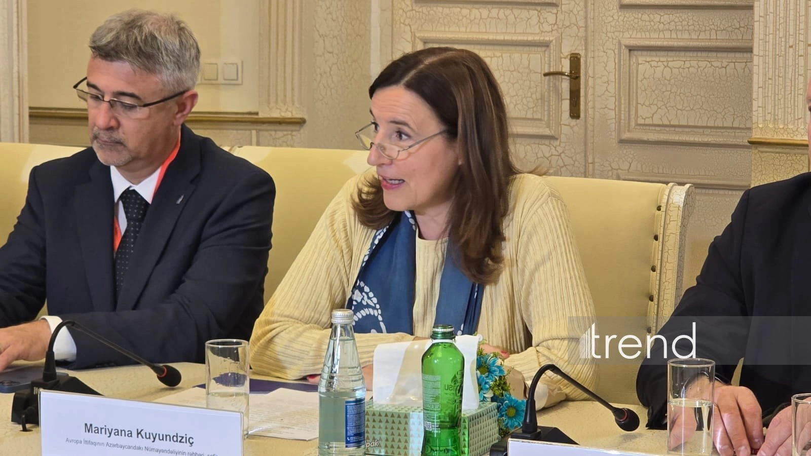 EU provides millions of euros in support for Ganja's development projects - ambassador