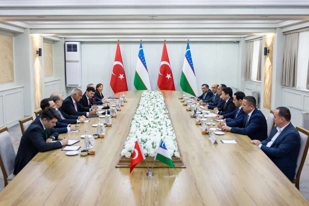 Uzbekistan, Türkiye seek to boost tourist flows, air connectivity