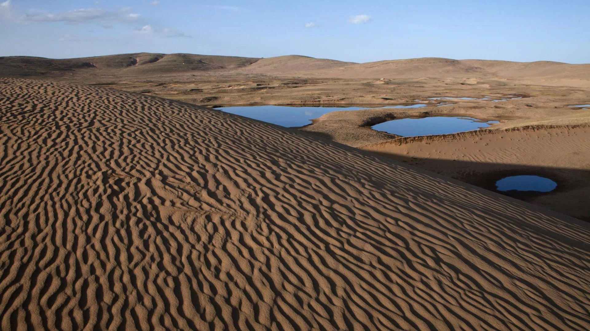 Turkmenistan urges regional action on biodiversity and land degradation