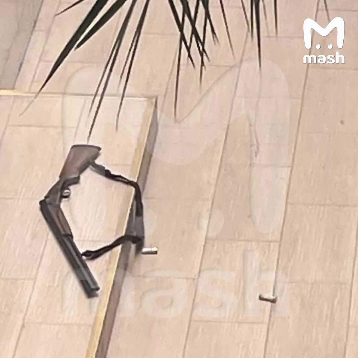 Student opens fire near Russia's Anapa technical college, five injured photo / video