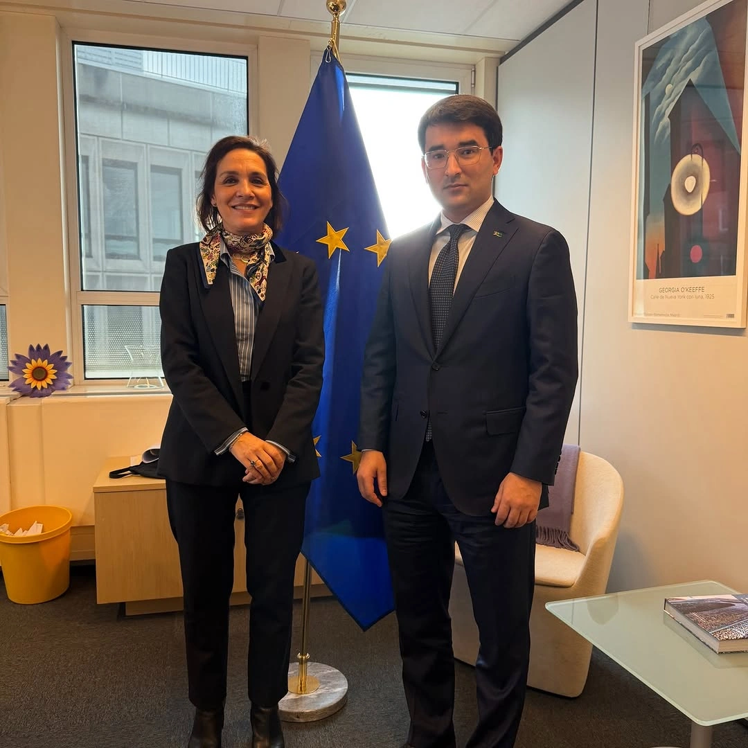 Turkmenistan, EU discuss prospects for institutional energy cooperation