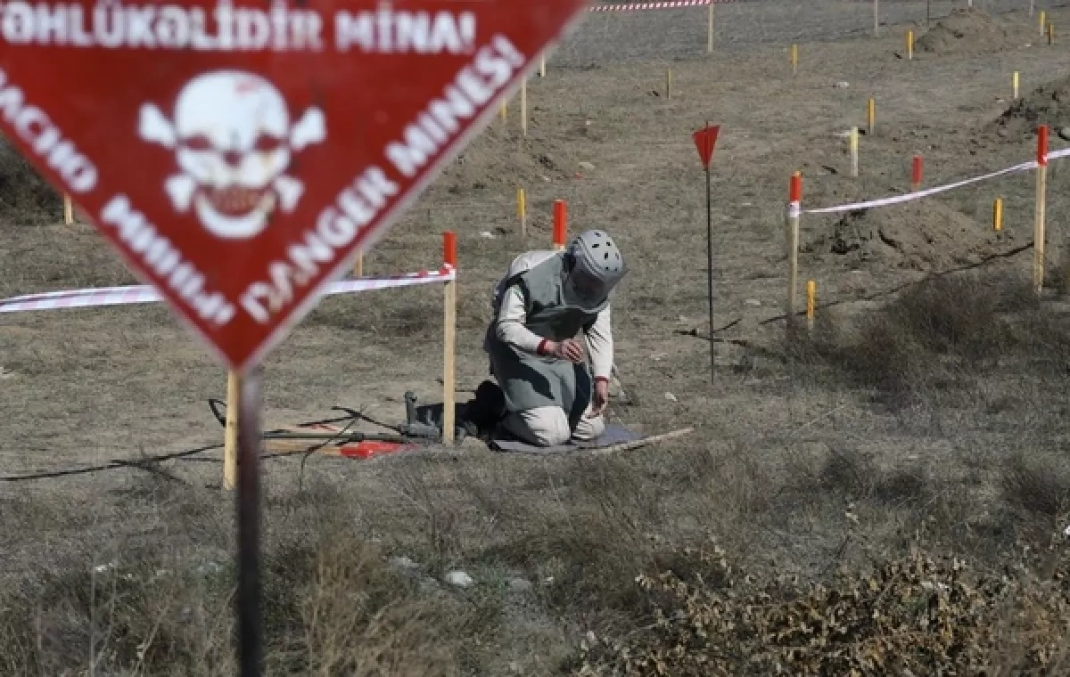 Azerbaijan’s demining drive covers 1,266.9 hectares in one week