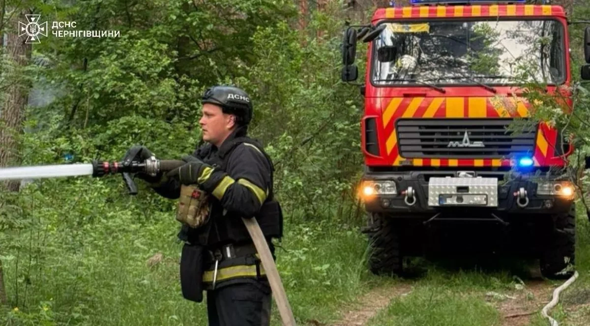 Drone crash sparks 7-hectare fire in Ukraine's Chernihiv region PHOTO
