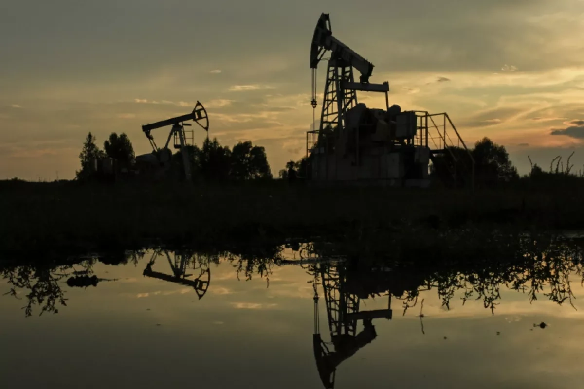 Black Sea Petroleum aims to capture Georgia’s fuel market
