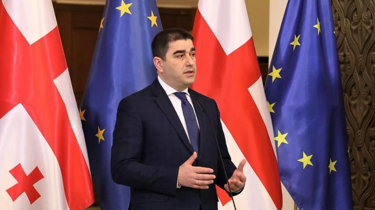 Georgian speaker calls on EU to be consistent on human rights