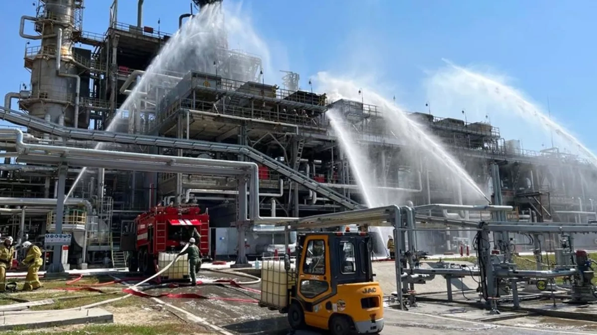 Russian deputy PM calls for maximum support to protect energy facilities