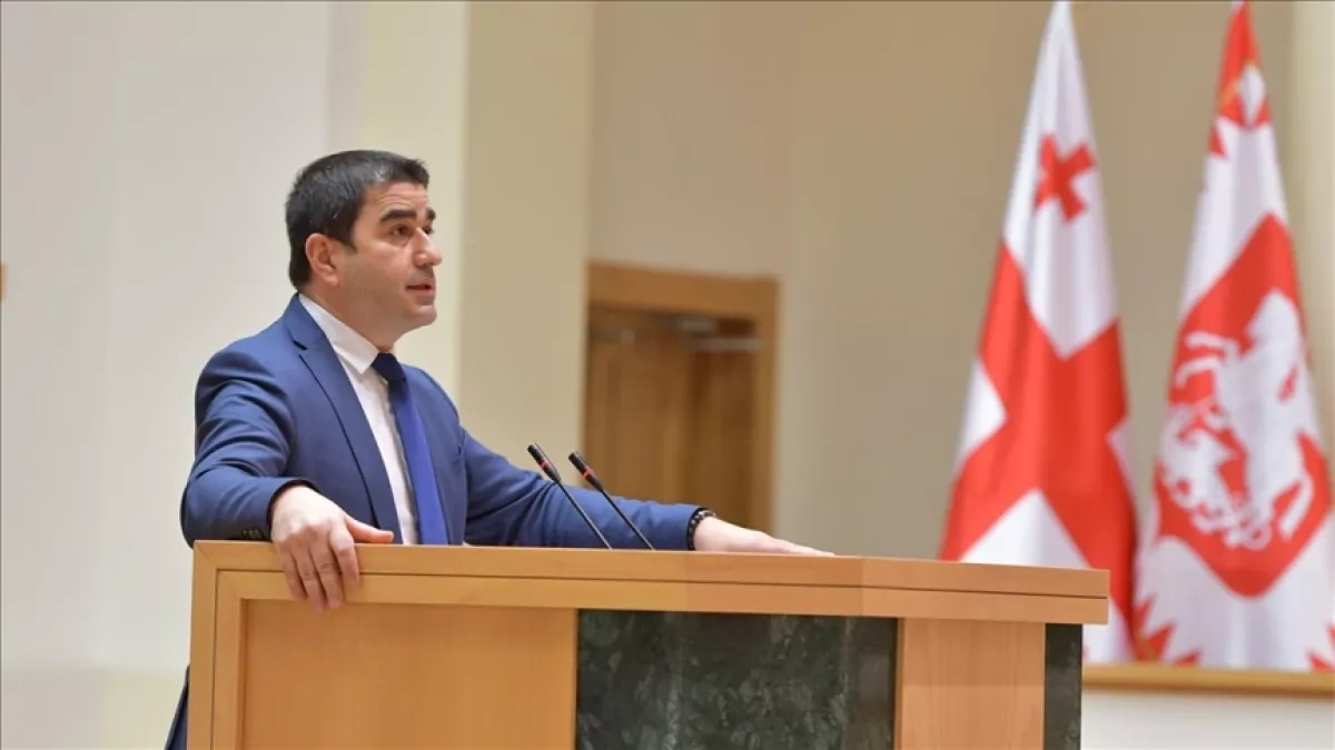 Georgian Speaker calls recent European Parliament session “civilisational abyss”