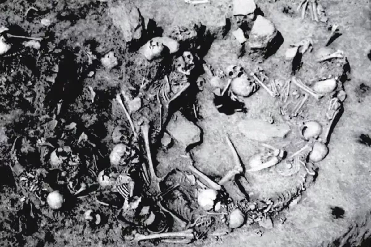 Mass grave with 77 bodies discovered in Serbia Possible massacre