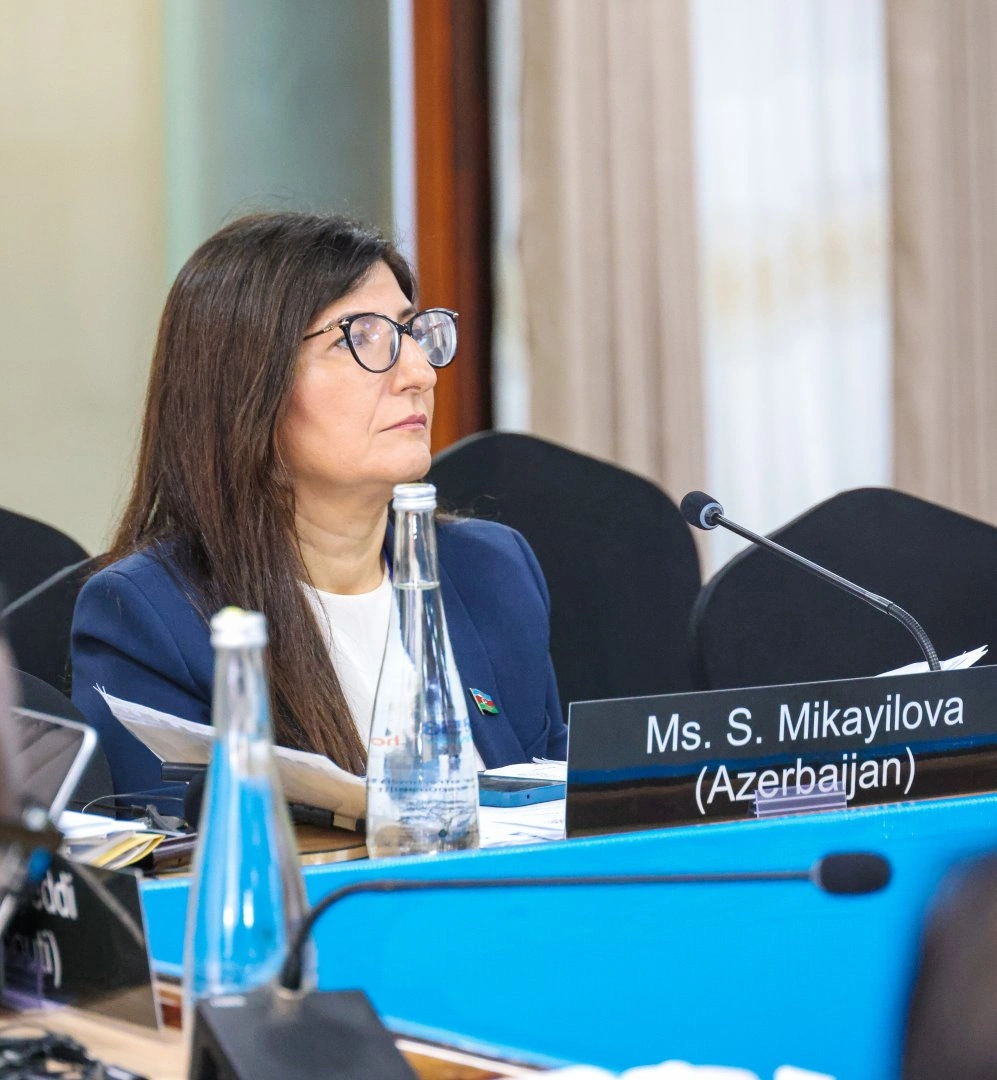 Azerbaijani MP Sevil Mikayilova attends IPU Executive Committee meeting in Arusha (PHOTO)