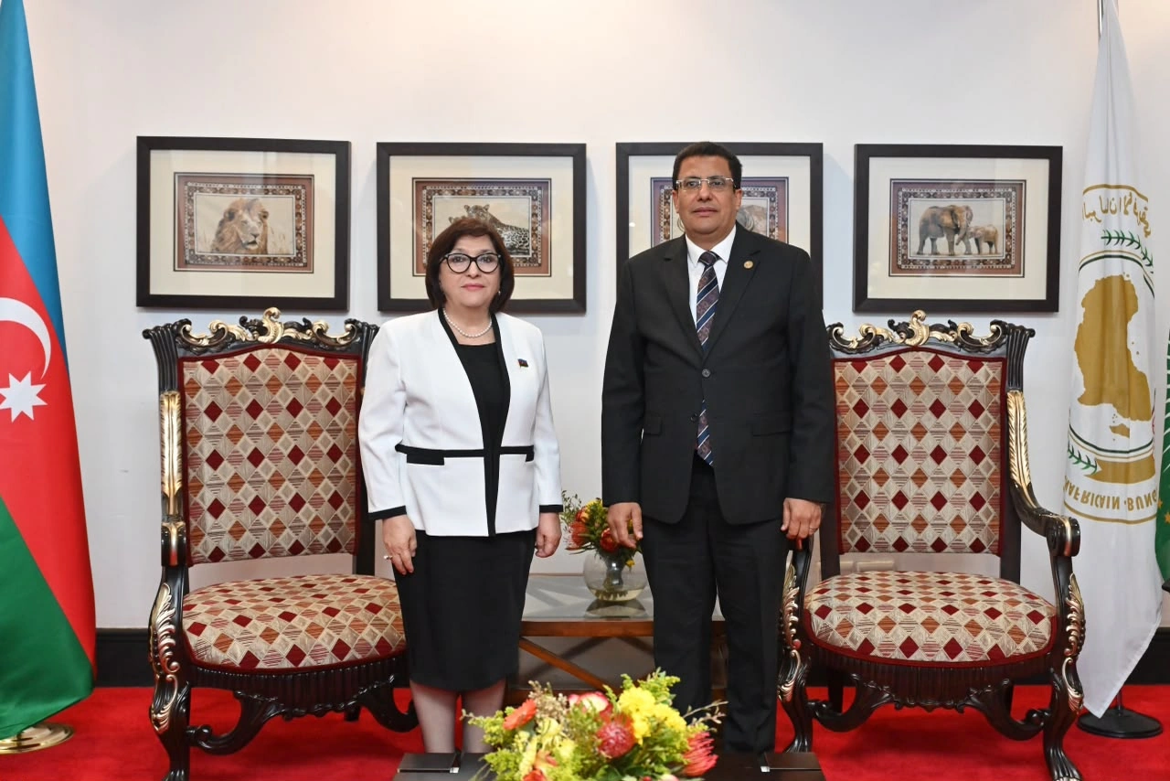 Azerbaijan's Parliament Speaker meets President of Pan-African Parliament (PHOTO)