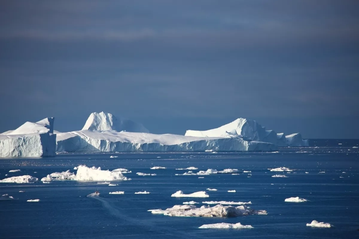 Key Arctic nutrient in decline as scientists warn of ecosystem-wide impacts