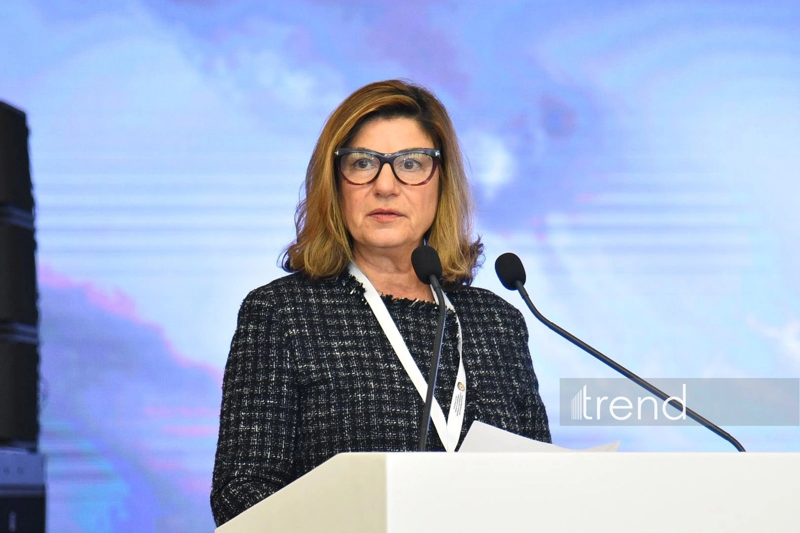 ICMP highlights rise in missing persons amid climate change, conflicts