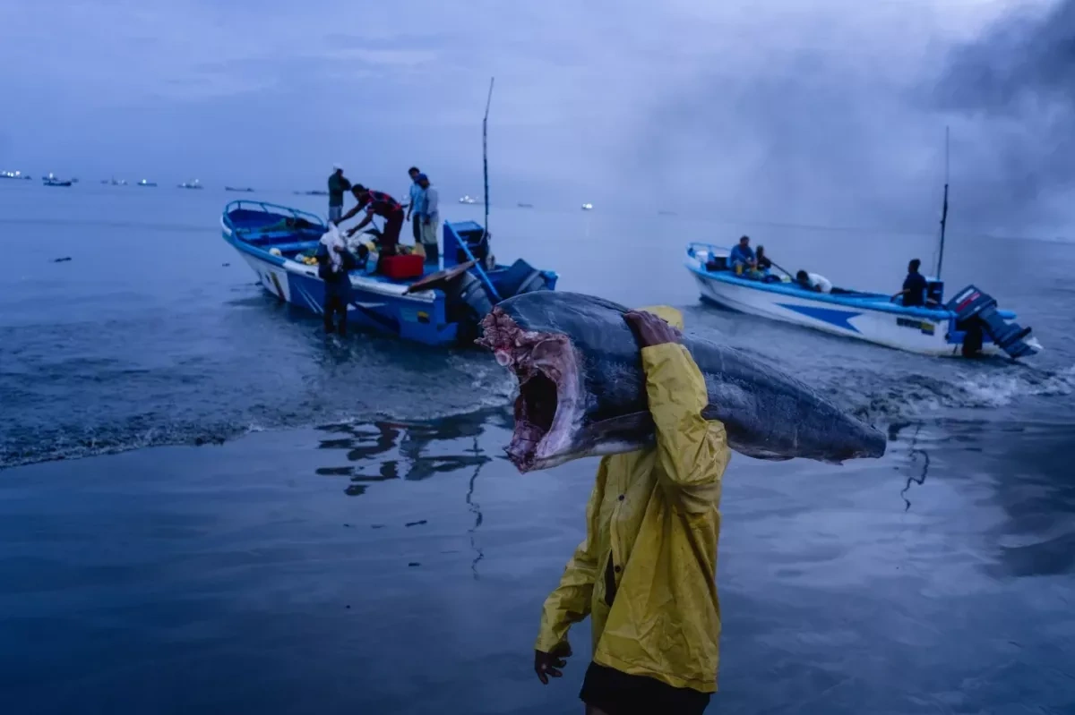 CNN: Unidentified vessel attacks two Ecuadorian fishing boats, detains crews