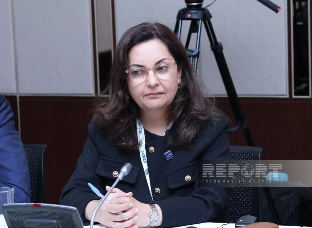 ADB eyes deeper energy cooperation with Azerbaijan, says country director
