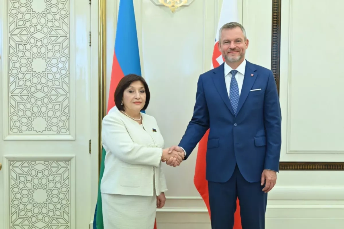 Azerbaijan, Slovakia highlight stronger parliamentary cooperation PHOTO