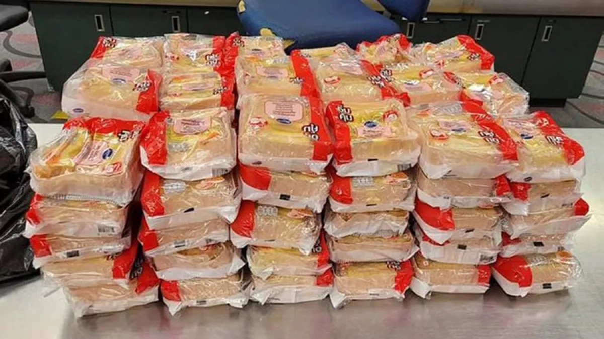 Beagle sniffs out over 100 sandwiches in Thai traveller’s luggage at US airport