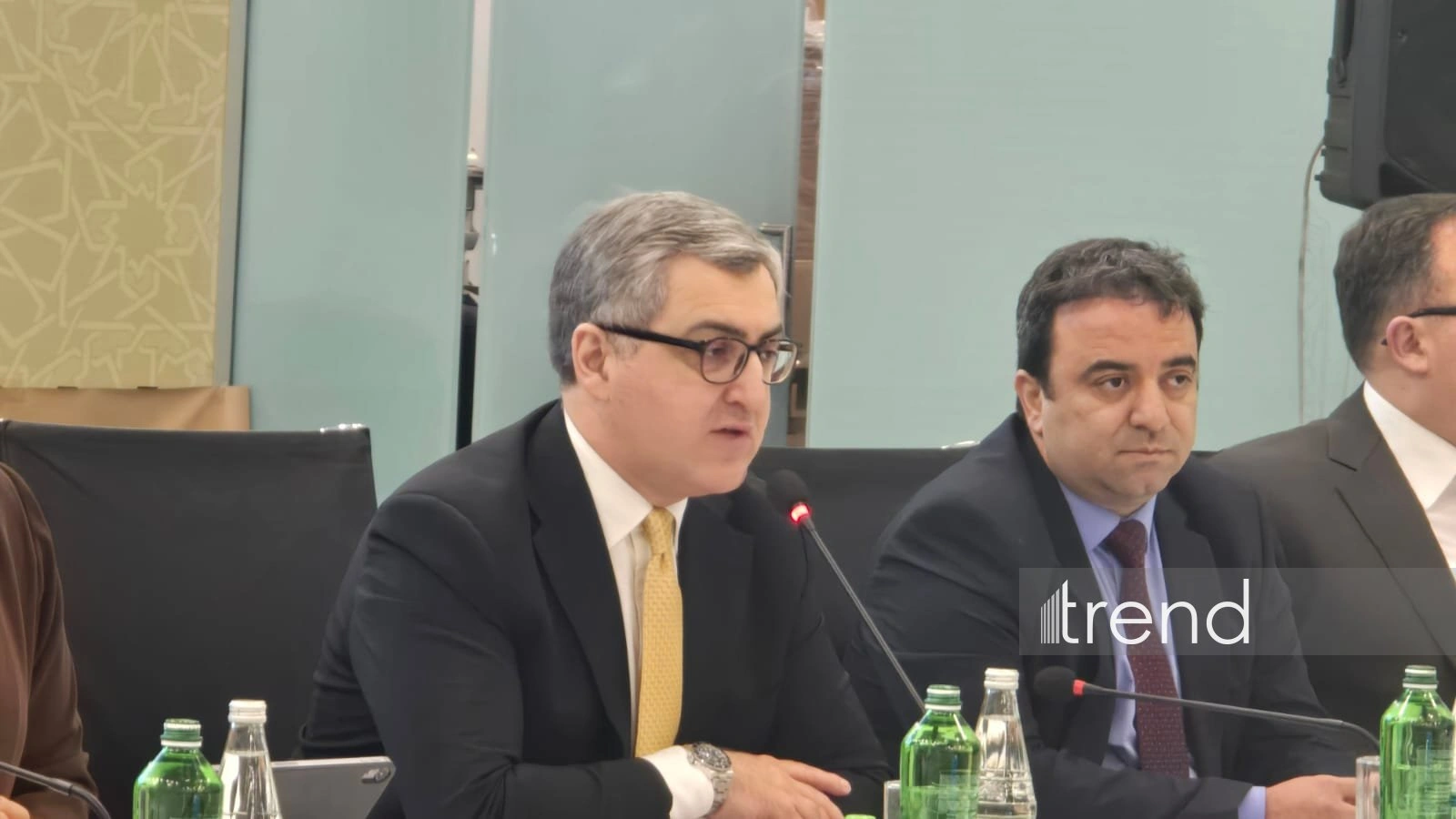 Azerbaijan sees great potential for expanding business ties with UAE - official
