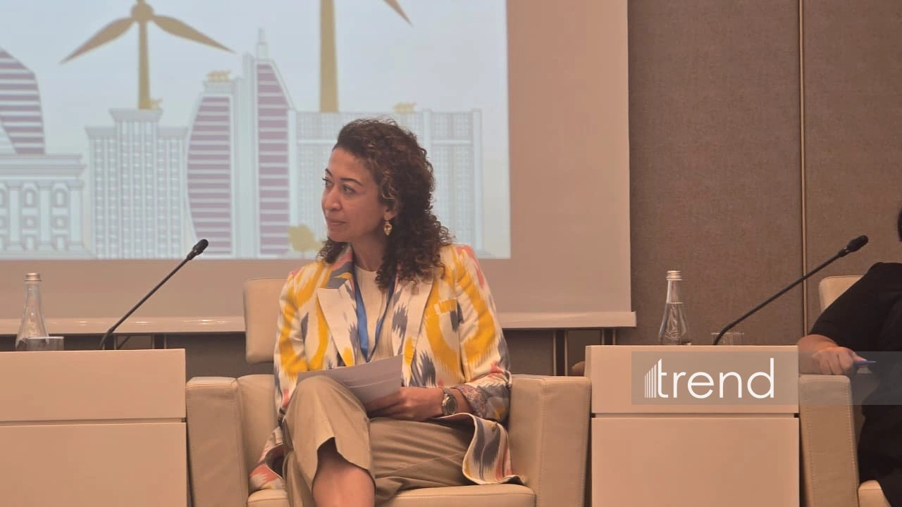 AHK explores great opportunities for German companies in Azerbaijan's energy transition