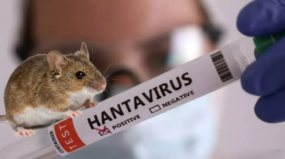 Thailand declares hantavirus “dangerous communicable disease”