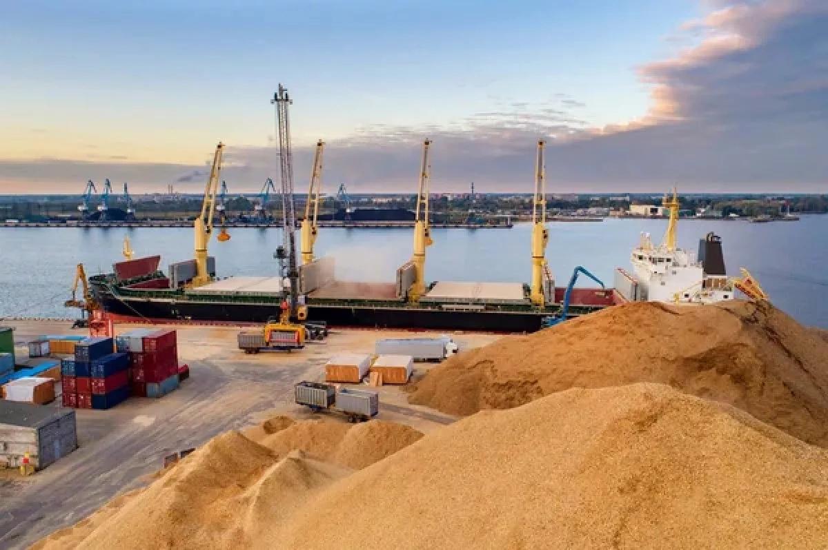 Estonia to ban Russian grain exports through its ports, FM says