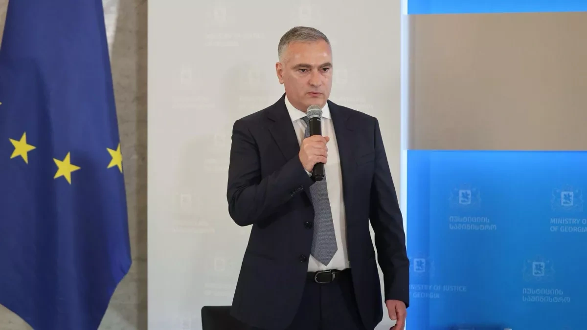Number of Georgian asylum seekers in EU drops 65% — minister