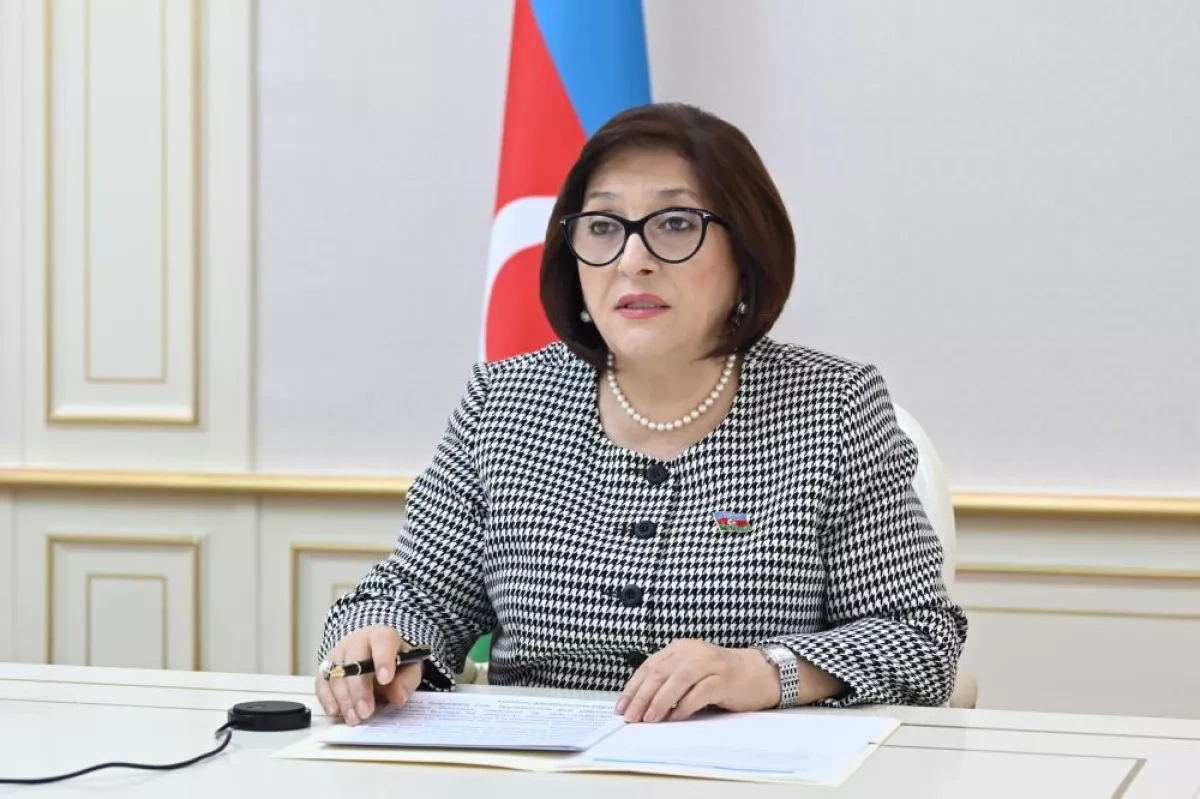 Occupation harmed environment in Azerbaijani territories, speaker says