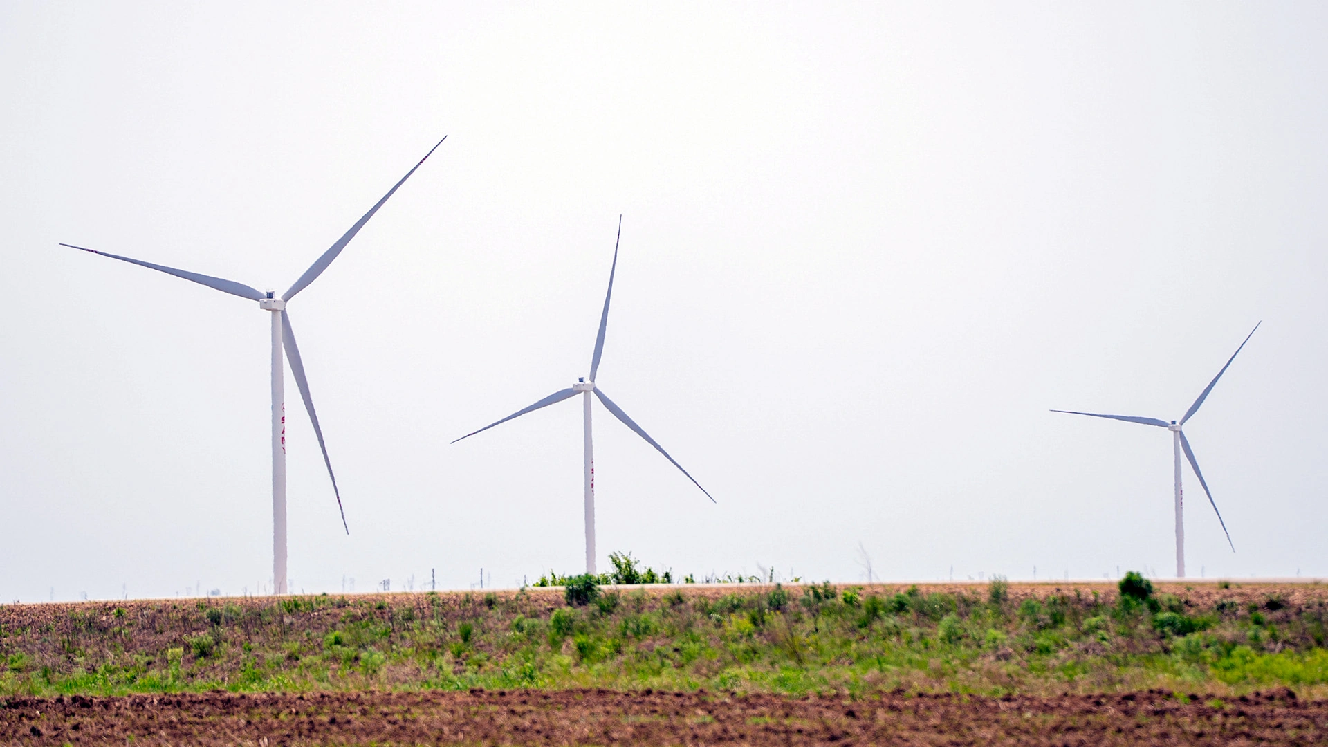 EU companies highlight Azerbaijan’s substantial progress in renewables