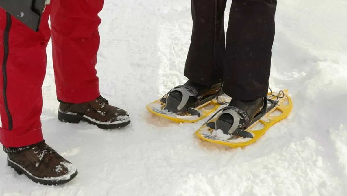 Three Germans detained for crossing Finland-Russia border illegally