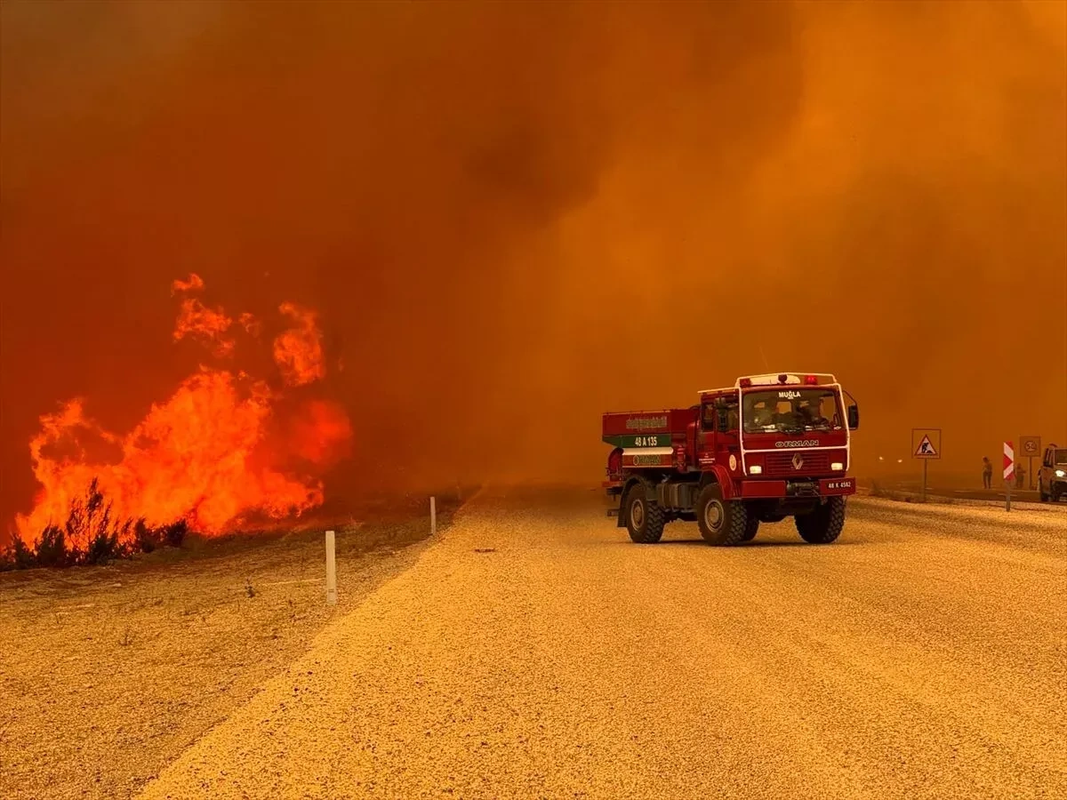 Wildfires spread across Türkiye, prompting evacuations PHOTO / VIDEO