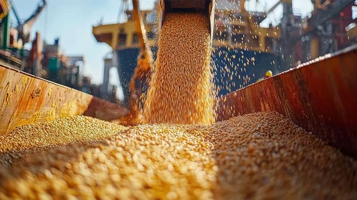 Russian strikes slash Ukraine's Black Sea grain capacity by third
