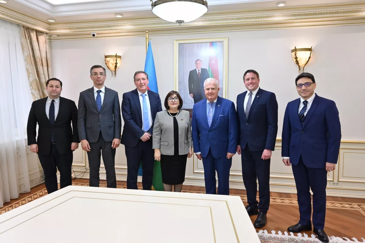 Azerbaijan, Ireland explore deeper interparliamentary ties PHOTO