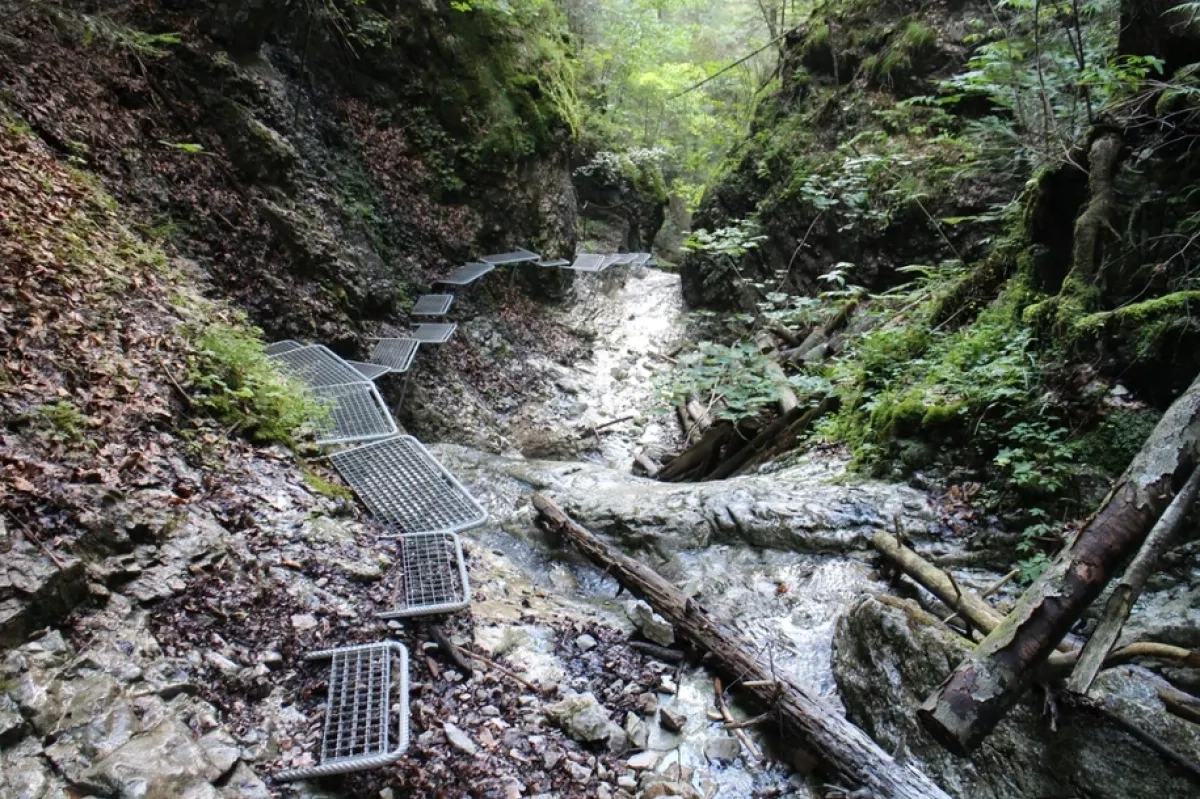 Missing Polish tourist found dead in Slovak gorge