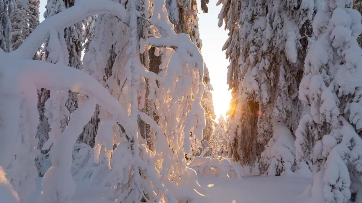 Extreme cold grips Kazakhstan as temperatures plunge to −45°C