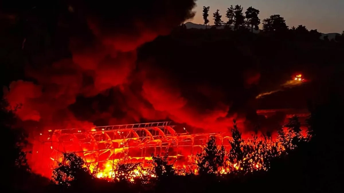 Banana greenhouse goes up in flames in southern Türkiye VIDEO