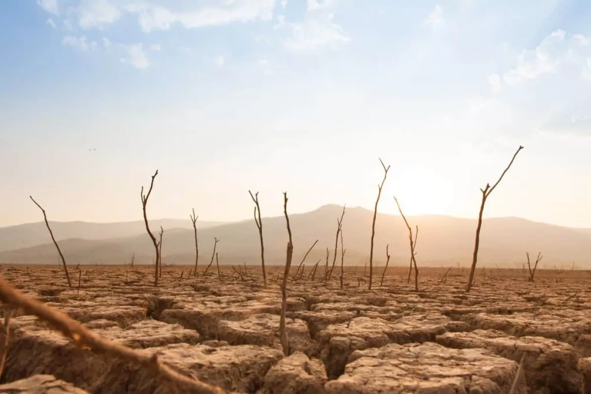 Historic El Niño on horizon as global weather risks mount