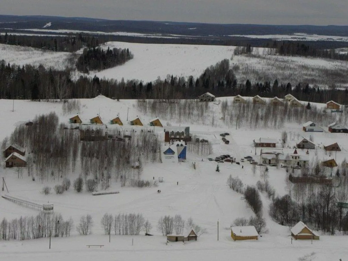Private helicopter crashes in Russia's Perm Krai, pilot dies PHOTO