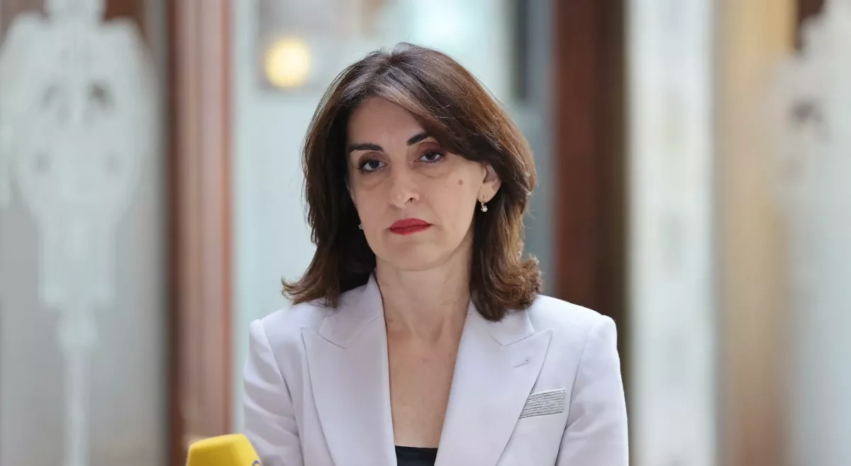 Middle Corridor offers gains for every stakeholder, says Georgian FM