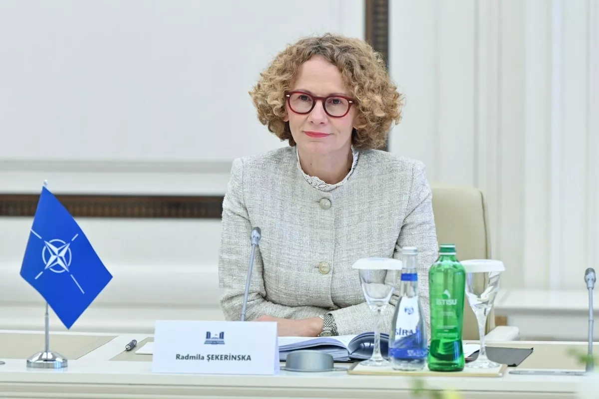 Azerbaijan, NATO discuss current, future cooperation, regional security PHOTO
